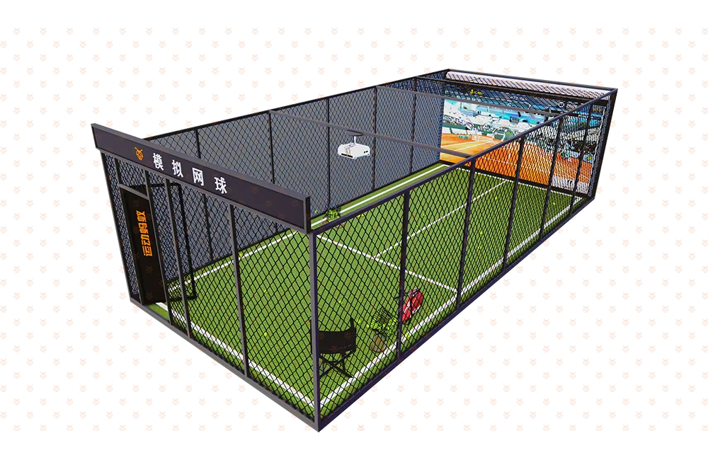 Super Tennis Competition and Training