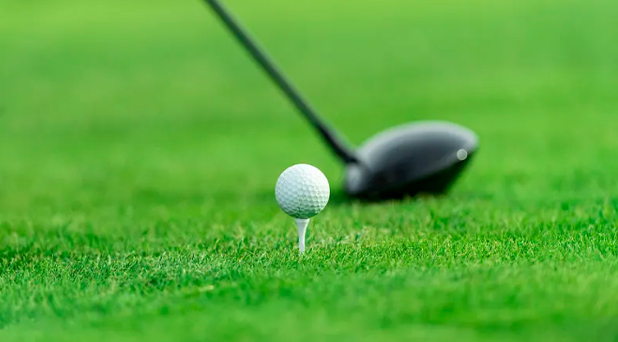 模拟高尔夫球运动馆整场规划