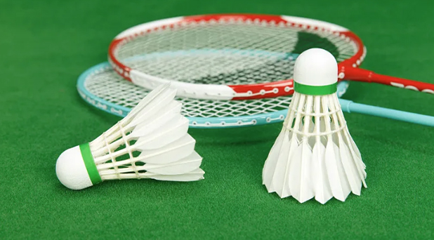 室内模拟羽毛球体育馆