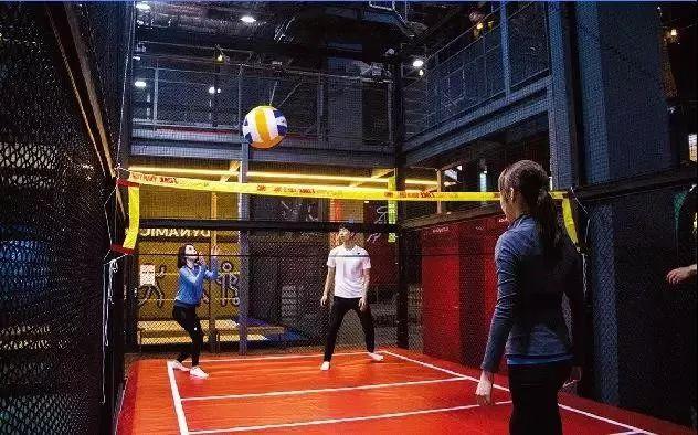 模拟羽毛球体育馆免费设计规划