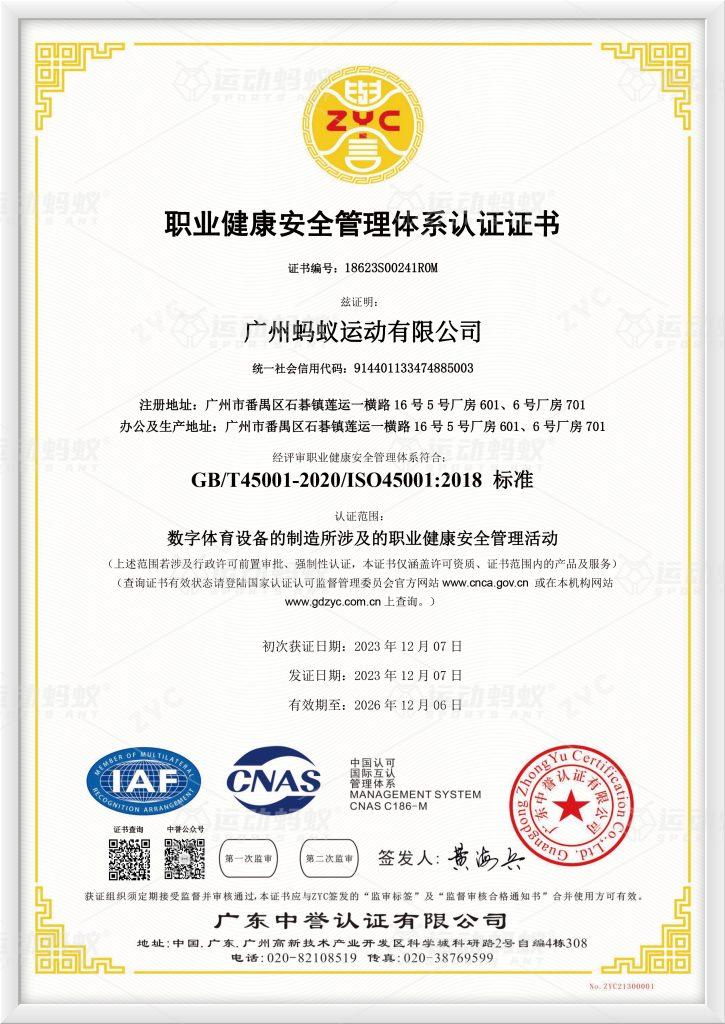 职业健康安全管理体系认证证书，含认证范围与有效期信息